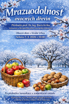 prezentace ovocných dřevin