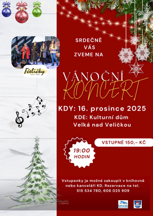 koncert hudební skupiny